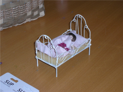 p1010001