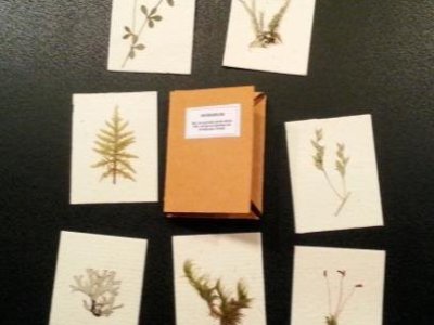 herbarium