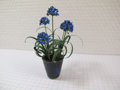 blomst.jpg