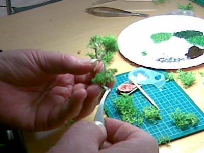 bonzai2