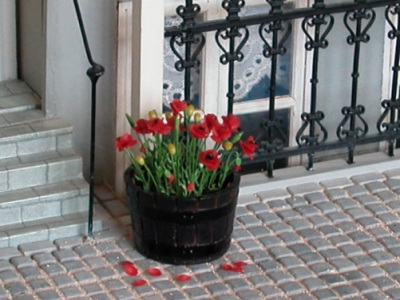 tulipaner