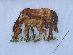 hest-foel