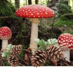 Svampe og kogler d. 15. november 2025