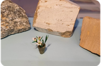 Fedtsten med v/Lene Weinrich  20. aug.2025