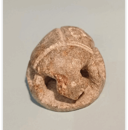 Medlemsmøde den 20.08.2025