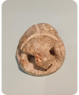 Medlemsmøde den 20.08.2025