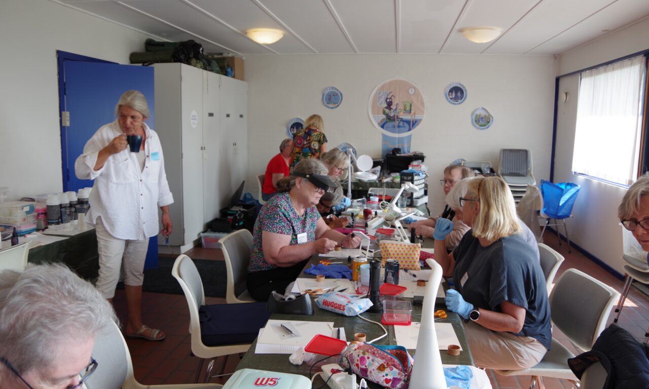 Sommerskole august 2025